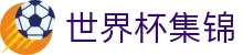 世界杯集锦世界杯专题 - 瑞典对突尼斯、捷克对韩国赛程比分与直播资讯